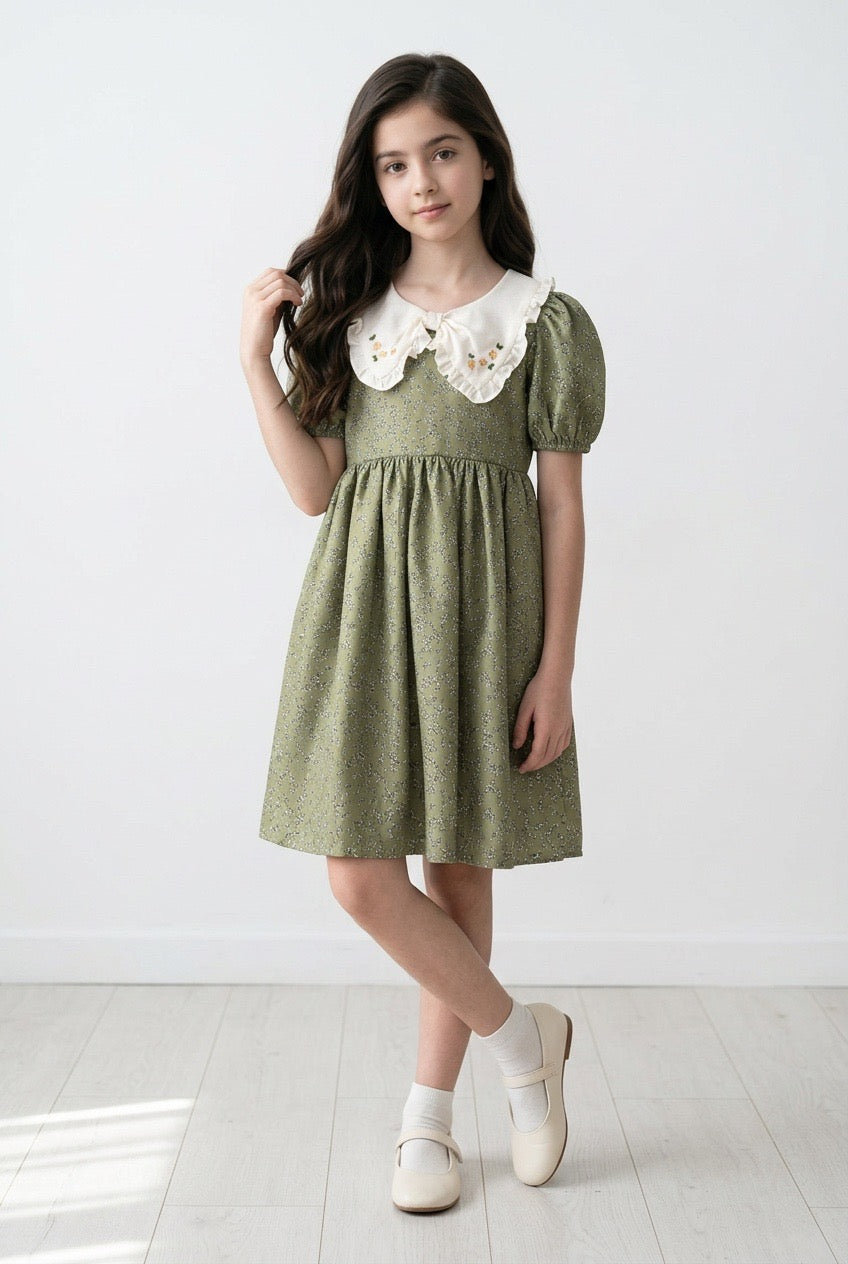 Frock with hand embroidery